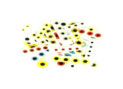 Lure Eye Assortment